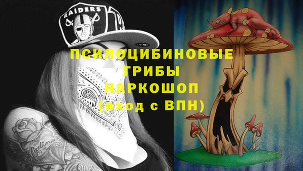 твердый Армянск