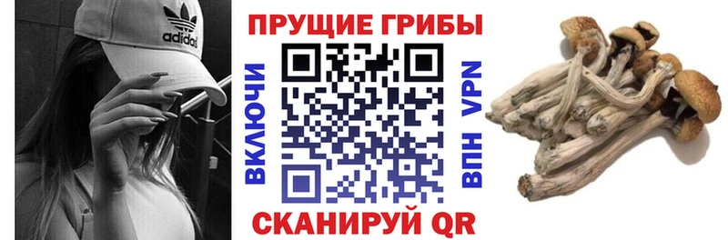 Галлюциногенные грибы Magic Shrooms  OMG рабочий сайт  Исилькуль  цена  